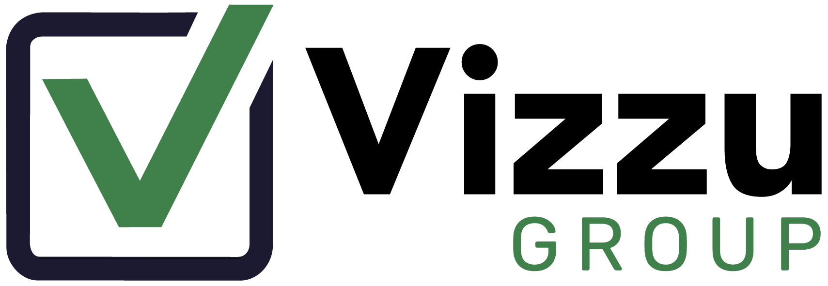 Vizzu Group